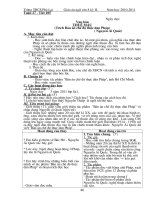 Ngữ Văn 8 -Tuần 27,28 CKTKN