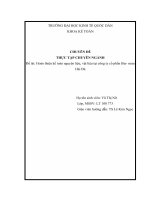 Hoàn thiện kế toán nguyên liệu, vật liệu tại công ty cổ phần Bia- rượu Hải Đà