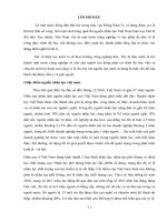 Một số giải pháp phát triển nguồn nhân lực việt nam