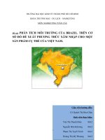 Phân tích môi trường của Braxin, trên cơ sở đó đề xuất phương thức xâm nhập cho một sản phẩm cụ thể của Việt Nam