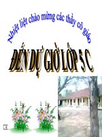 luỵen tap thu hai tuan 27 toan lop 5