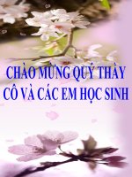 bai 24. trả bài viết 5