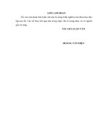 luận văn thạc sĩ Hiệu quả đầu tư tài chính của Tổng công ty Cổ phần Bảo hiểm Quân đội - MIC