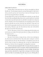 SKKN viết chữ đẹp cho học sinh lớp 3