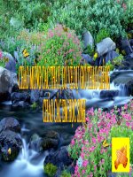 cach mang ha lan va cach mang tu san anh