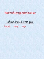tiết 106 các thành phần chính củ câu