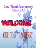 english 8 unit 13 read