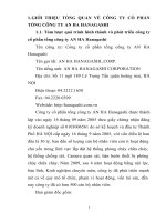 luận văn khoa quản trị doanh nghiệp Chiến lược và phương hướng phát triển của công ty cổ phần tổng công ty AN HA Hanagashi