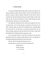 thực trạng giao thông ở các đô thị: giải pháp