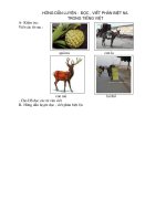 luyện phát âm phân biệt l/n tuần 28