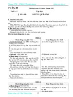 Giáo án chuẩn - KNS lớp 2 tuần 29