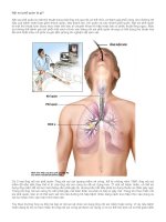 Nội soi phế quản, ứng dụng quang học