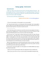 Các câu hỏi về hướng nghiệp