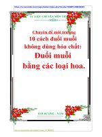 Chuyên đề môi trường  10 cách đuổi muỗi  không dùng hóa chất: Đuổi muỗi  bằng các loại hoa.