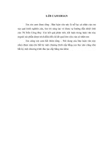 Nâng cao hiệu quả sản xuất kinh doanh ở Công ty cổ phần Sản xuất  Dịch vụ  Thương mại MêKông