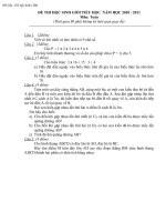 Đề thi HSG toán 5 tỉnh Quảng Trị năm 2010 - 2011