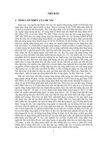 Nghiên cứu phát triển hệ thống khí hóa sinh khối để cung cấp năng lượng quy mô nhỏ ở Việt Nam