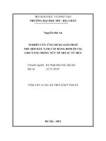 Nghiên cứu ứng dụng giải pháp thu hồi dầu tam cấp bằng bơm ép co2 cho tầng móng nứt nẻ mỏ sư tử đen