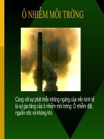 Bài 54: Ô nhiễm mỗi trường