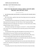 Báo cáo chuyên đề hoạt động chuyên môn TTSP THCS