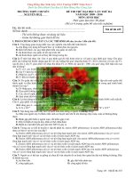 ĐỀ THI THỬ TRƯỜNG CHUYÊN NGUYỄN HUỆ