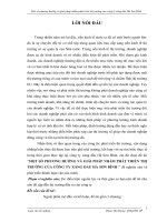 Một số phương hướng và giải pháp nhằm phát triển thị trường công ty xăng dầu Hà Sơn Bình