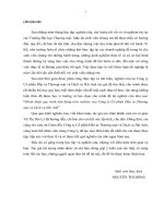 Hoàn thiện quy trình bán hàng trên website của Công ty Cổ phần Đầu tư Thương mại và Dịch vụ Hải Anh