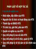 Slide môn pháp luật trong kinh doanh du lịch: Pháp luật về hợp tác xã