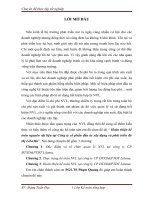 Hoàn thiện kế toán nguyên vật liệu tại Công ty cổ phần đầu tư xây dựng và phát triển đô thị LiLaMa