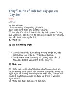 Thuyết minh về một loài cây quê em