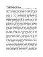 Nghiên cứu phát triển hệ thống khí hóa sinh khối để cung cấp năng lượng quy mô nhỏ ở Việt Nam (Tóm tắt)