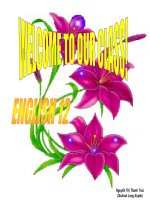 UNIT 15 - READING (POWERPOINT)