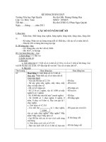 Cac so co nam chu so