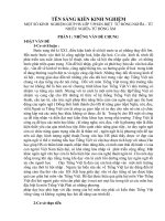 Sáng kiến phân biệt từ đồng nghĩa từ nhiều nghĩa và từ đồng âm