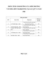 PHÂN TÍCH ẢNH HƯỞNG CỦA MÔI TRƯỜNGVĂN HÓA ĐẾN MARKETING TẠI AI CẬP VÀ NAMPHI