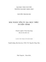 Bài toán tối ưu đa mục tiêu tuyến tính