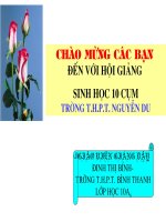 SINH TRUONG CUA VI SINH VAT