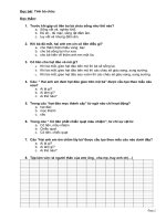 de thi cuoi HK1-tieng viet