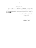 luận văn thạc sĩ thương mại “Hoàn thiện chào hàng thị trường sản phẩm thức ăn chăn nuôi của Công ty Cổ phần ABC Việt Nam