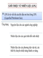 Tiểu luận các sản phẩm dầu khí GIỚI THIỆU VỀ NHIÊN LIỆU LPG