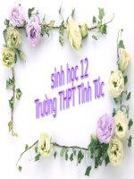 bai 43: trao đoi chat va nang luong o vi sinh vat