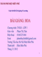 Slide TNXH lớp 3 -hoa