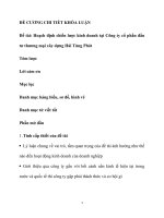 ĐỀ CƯƠNG CHI TIẾT KHÓA LUẬN Đề tài Hoạch định chiến lược kinh doanh tại Công ty cổ phần đầu tư thương mại xây dựng Hải Tùng Phát