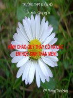 Bài 41: sinh sản vô tính ở thực vât (nc)