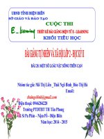 slide tnxh lớp 2 -một số loài vật sống trên cạn -GV Liên,Bình,Hà