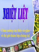 tiet 42: cau tao trong cua chim bo cau