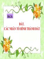dat cac nhan to hinh thanh