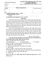 ĐỀ THI GIỮA HỌC KỲ 2 - TV LỚP 3 - NĂM HỌC 2010 - 2011