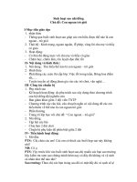 Con ngoan - tro gioi