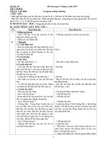 Lớp 2-tuần 30(có luyện, 3 cột)